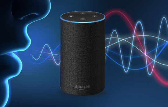 Voice Shopping in eCommerce