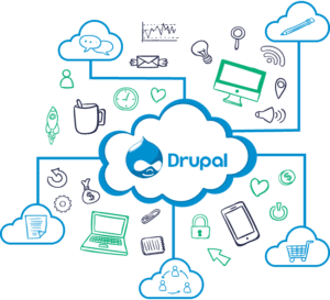 Drupal Development Service