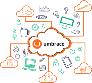 Umbraco Development Service