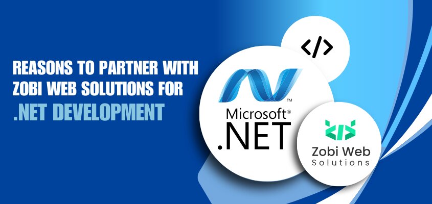 Best web app company